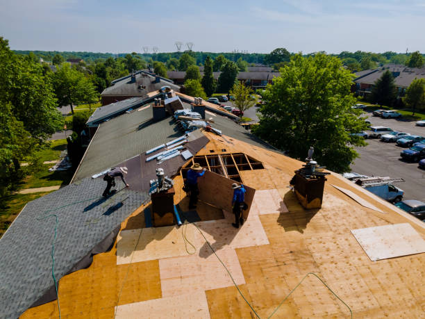 Trusted Roof Repair service in Sandy Level, VA - Brentwood Metal Roofing